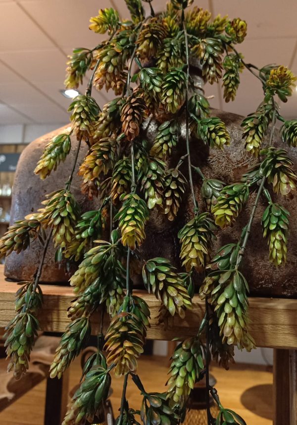 Hoptak Groen - Afbeelding 2