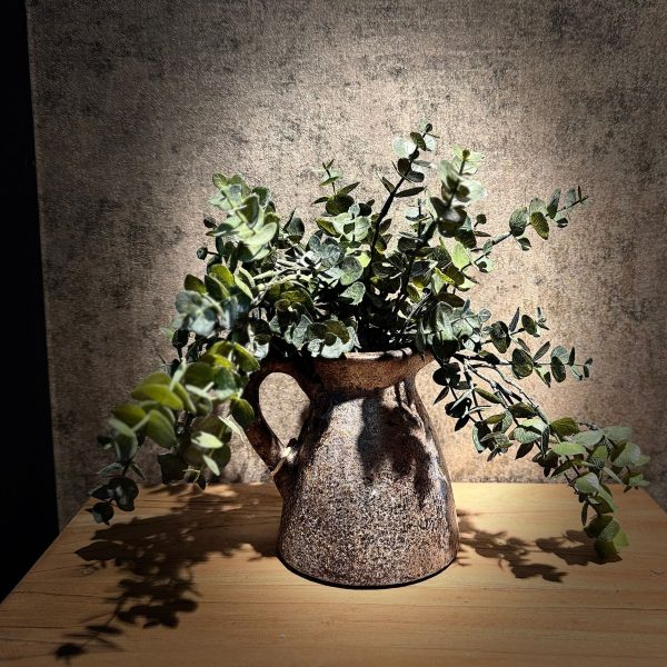 Eucalyptus Groen