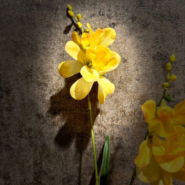 Freesia Geel - Afbeelding 2
