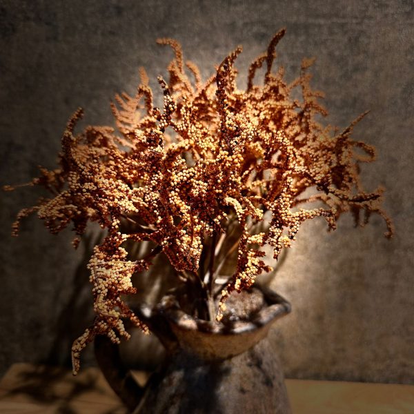 Limonium Oranje - Afbeelding 2