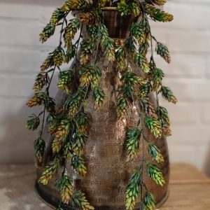Hoptak Groen