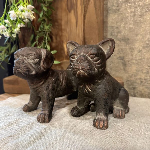 Franse Bulldog Bruin