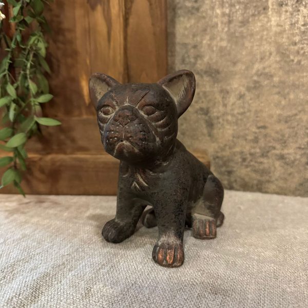 Franse Bulldog Bruin - Afbeelding 3