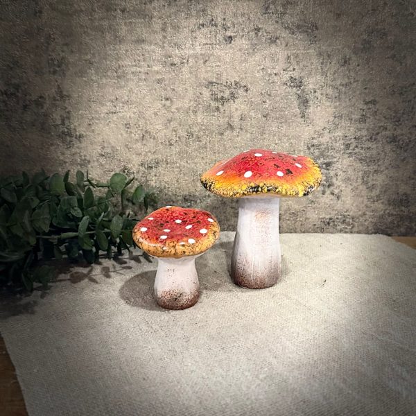 Paddenstoelen - Afbeelding 2