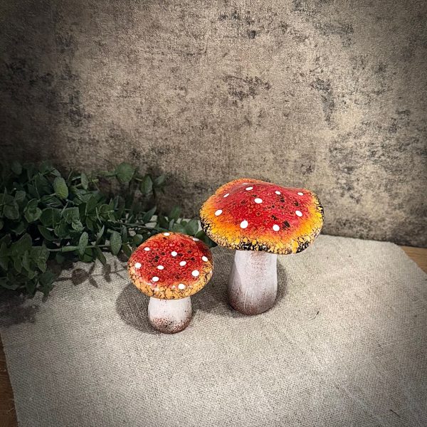 Paddenstoelen