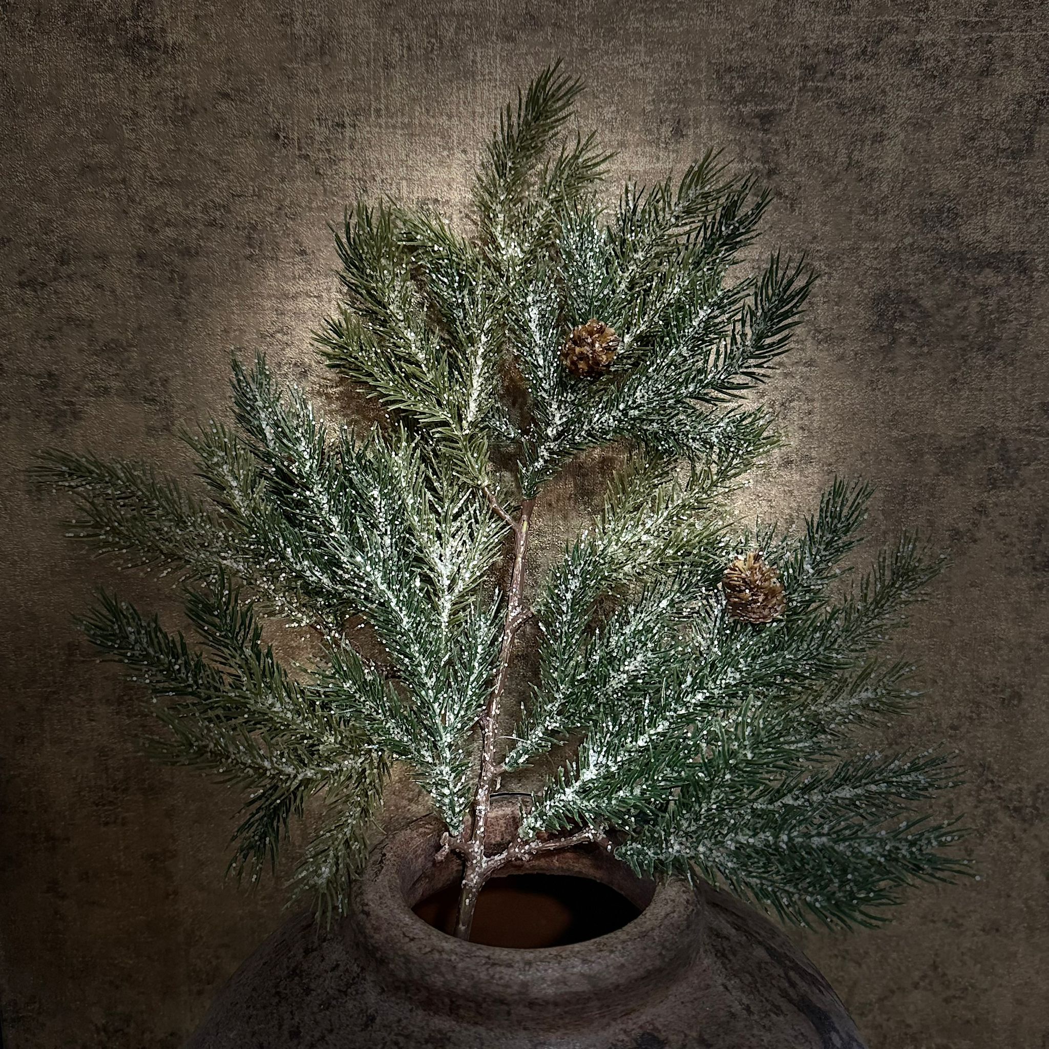 Afbeelding zonder ALT