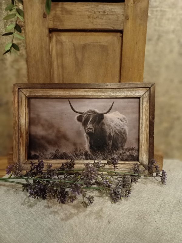 Landelijke houten fotolijst met schotse hooglander zwart/wit