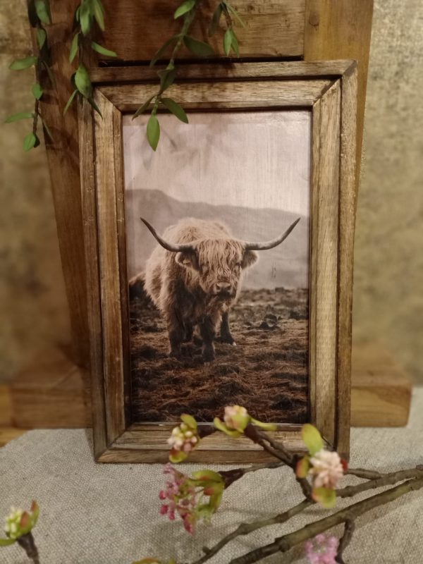 Landelijke houten fotolijst met schotse hooglander