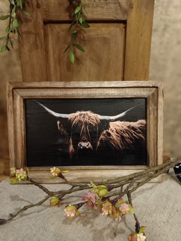 Landelijke houten fotolijst met schotse hooglander zwart