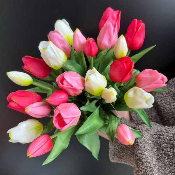 Kunst tulpen Mix