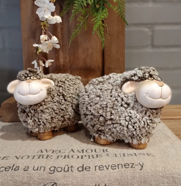 Schaap met bril