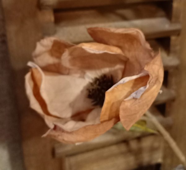 Magnolia Tak Cognac - Afbeelding 2