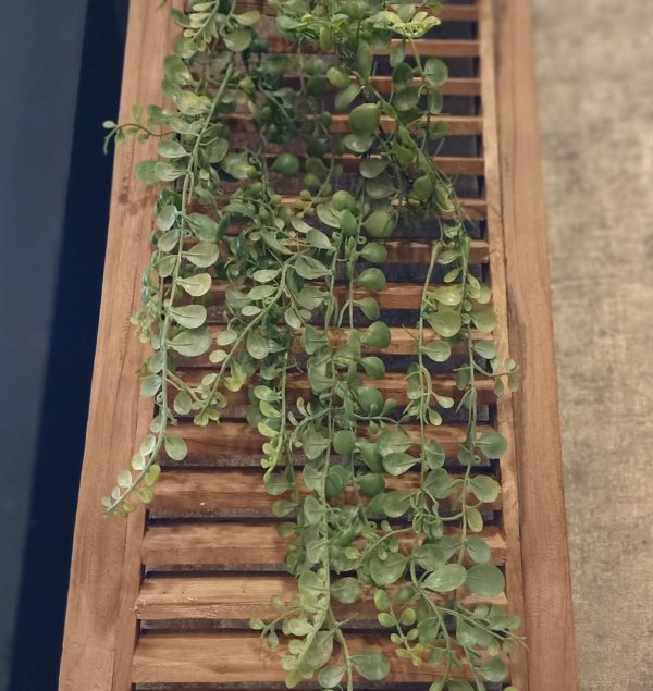 Dischidia Hangplant Kunst - Afbeelding 2