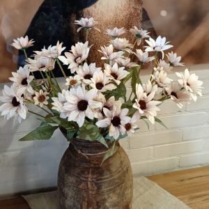 Echinacea Old Pink