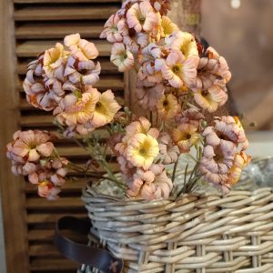 Bloementak Coffee L
