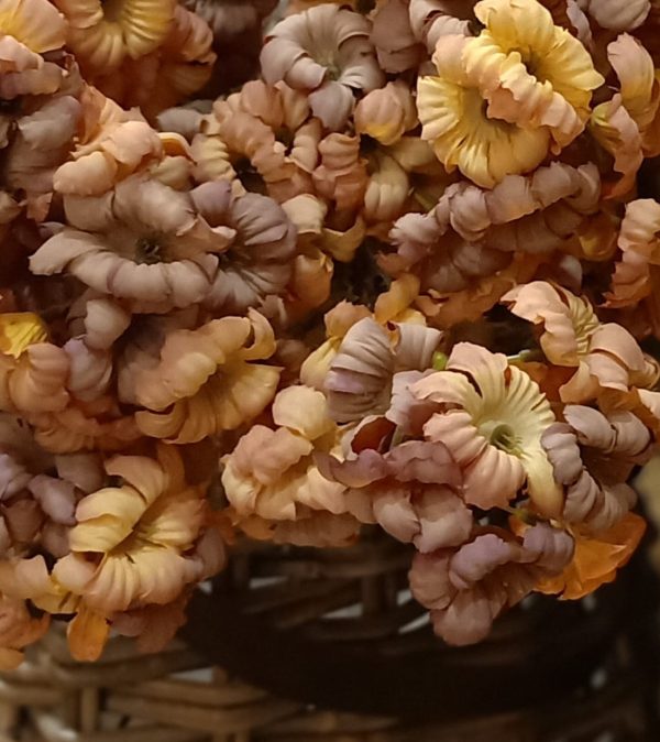 Bloementak Coffee L - Afbeelding 2