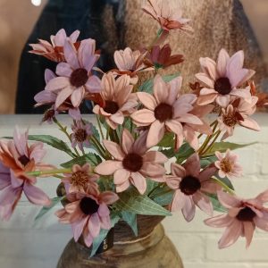 Echinacea Coffee