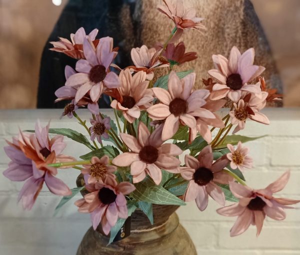 Echinacea Coffee