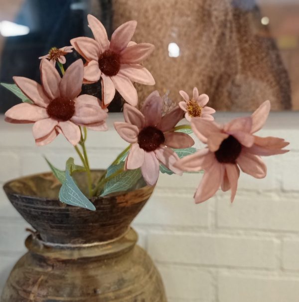 Echinacea Coffee - Afbeelding 2