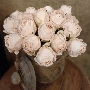 Rozen Zacht Roze