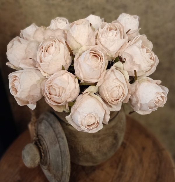 Rozen Zacht Roze
