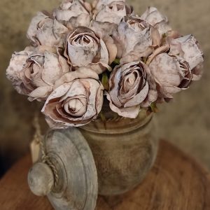 Rozen Zacht Oud Roze