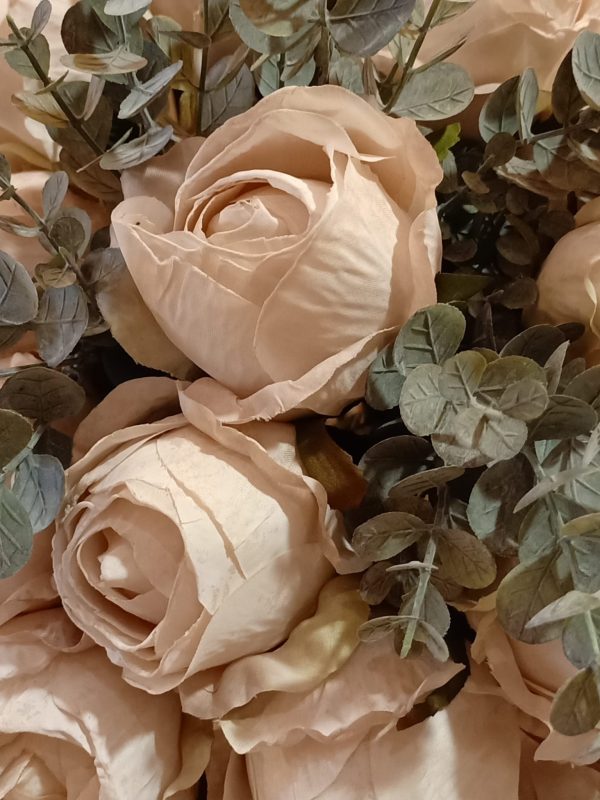 Rozen Zacht Roze - Afbeelding 3