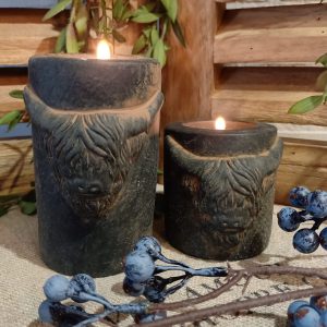 Theelicht Hooglanders
