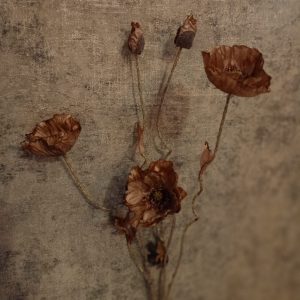 Bloementak Poppy Twist Brown