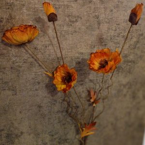 Bloementak Poppy Twist Orange