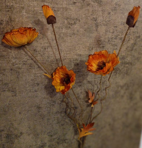 Bloementak Poppy Twist Orange
