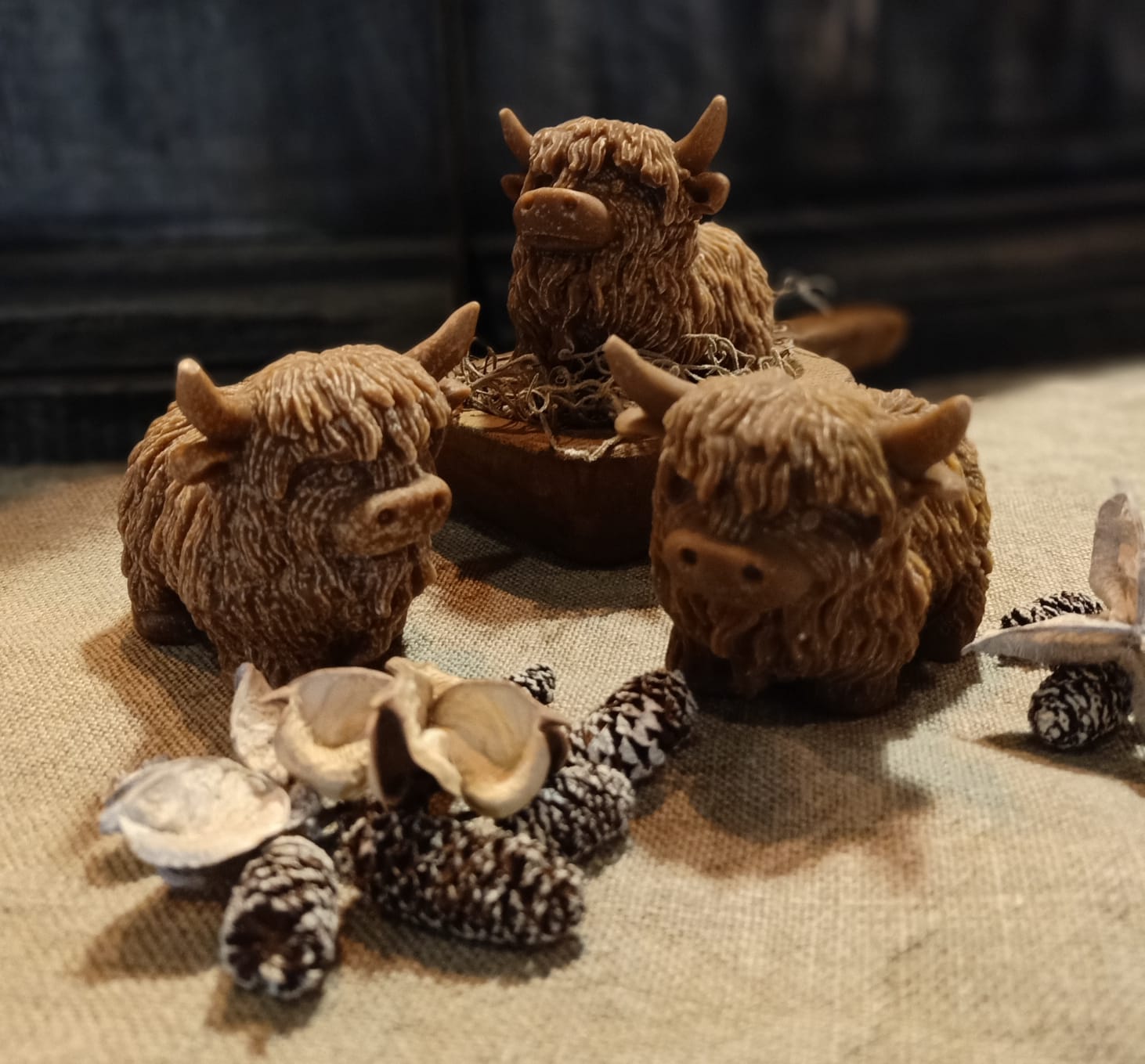 Amberblokje Hooglander - Afbeelding 3